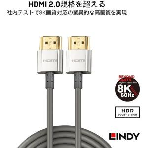 LINDY リンディ CROMO LINE H...の詳細画像1