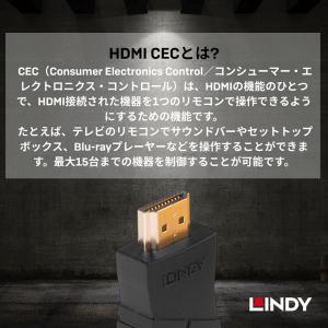 LINDY リンディ HDMI 4K 60Hz...の詳細画像2
