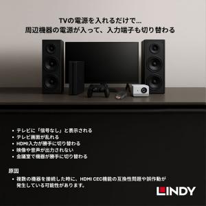 LINDY リンディ HDMI 4K 60Hz...の詳細画像3