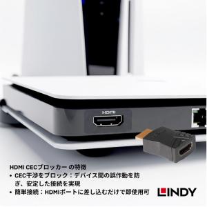 LINDY リンディ HDMI 4K 60Hz...の詳細画像5