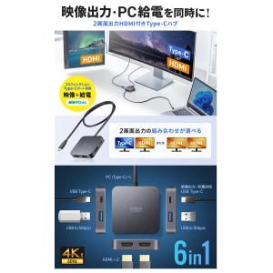 SANWA サンワサプライ 2画面出力対応 H...の詳細画像1