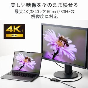 エレコム ELECOM Type-C映像変換ア...の詳細画像4