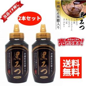 【2本セット】黒蜜 1000g 黒みつ 沖縄県産黒糖入り 大容量 業務用｜ec-nsj