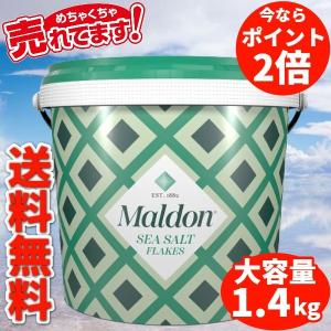 マルドン シーソルト イギリス 塩の芸術品 100%海水使用