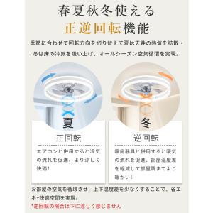 【限定2000円クーポン】LEDシーリングファ...の詳細画像2