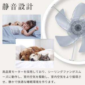 プリン★様確認用★ファンサボード ご依頼ありがとうございました☺️🩵🩷🐾 【ボード詳細