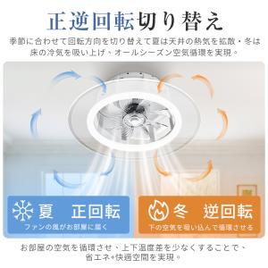 【新生活限定2000円クーポン】シーリングファ...の詳細画像3