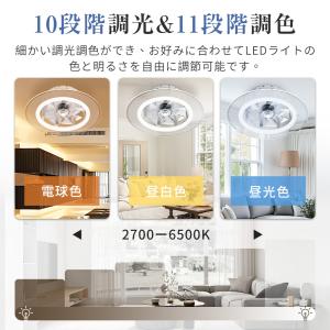 【新生活限定2000円クーポン】シーリングファ...の詳細画像4