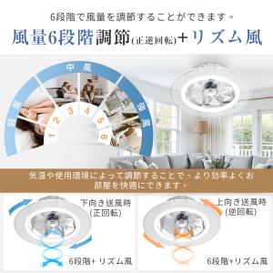 【新生活限定2000円クーポン】シーリングファ...の詳細画像5