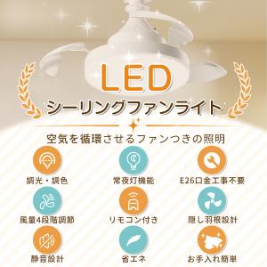 【限定クーポン3980】シーリングファンライト...の詳細画像1