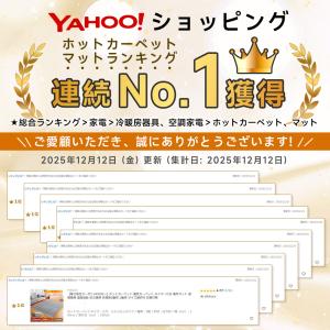 【限定クーポン3492円〜】ホットカーペット ...の詳細画像1