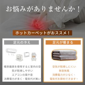 【限定クーポン3492円〜】ホットカーペット ...の詳細画像3