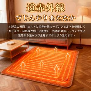 【限定クーポン3492円〜】ホットカーペット ...の詳細画像4