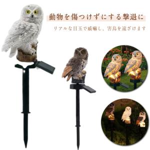藤原産業 セフティー3 パニックふくろう2 眼に用心 鳥よけ STYF-4 ( 1