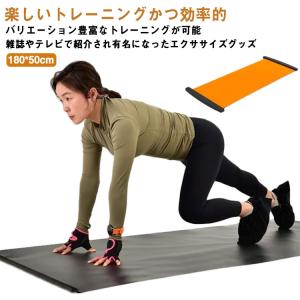 DANNO（ダンノ） スライダーボードST 下半身強化 スピードスケート