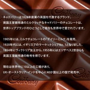 キャドバリー デイリーミルク 50g×1個 ミ...の詳細画像3