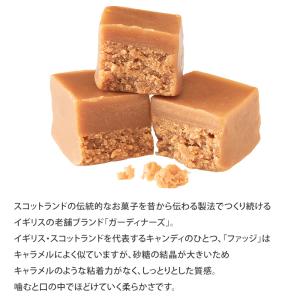 Gardiners ガーディナーズ イントゥザ...の詳細画像2