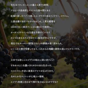Kouroum Shahrazade コウロム...の詳細画像2