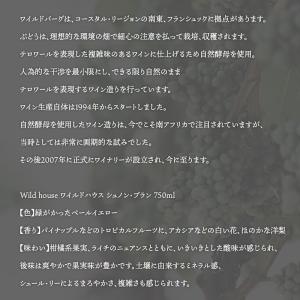 Wild house ワイルドハウス シュナン...の詳細画像1
