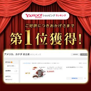メープルテラー メープルココアチョコレートスト...の詳細画像1
