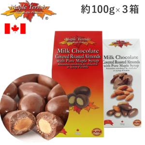 メープルアーモンドミルクチョコレート 100g×3箱セット メープルテラー Maple Terroir Milk Chocolate カナダ テロワール 海外 輸入食品 別送 夏季クール｜ec-tokoplus