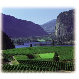 HERNDER ESTATE WINES VI...の詳細画像3