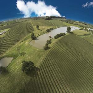 Aurora Cabernet Sauvign...の詳細画像4
