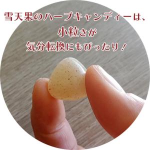 雪天果 台湾ハーブキャンディー びわ&ソルト風...の詳細画像3