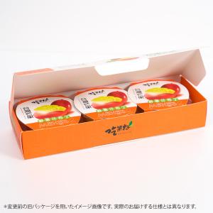 豊喜 マンゴープリン 390g (130g×3...の詳細画像2