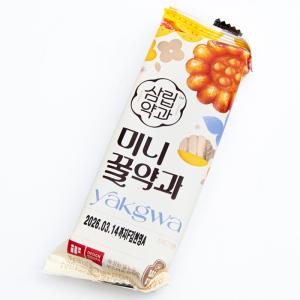 SPC ミニヤッカ 70g×10個セット 個包...の詳細画像3