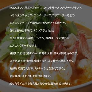 アウトレットSALE 賞味期限間近 KOKA ...の詳細画像2