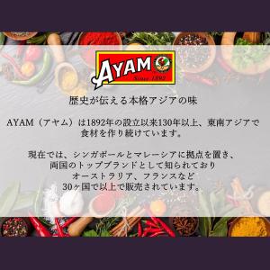 アヤム チキンカレーペースト 180g AYA...の詳細画像2