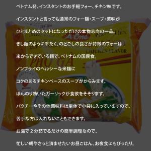 A-One エーワン インスタントフォー チキ...の詳細画像2