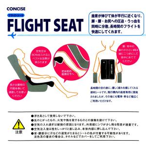 フライトシート 機内専用シート 飛行機座席用 ...の詳細画像3