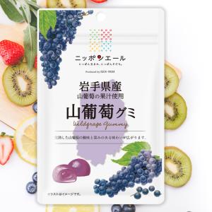 全農 ご当地グミ ニッポンエール 山形県産 月山ぶどうグミ ご当地 お