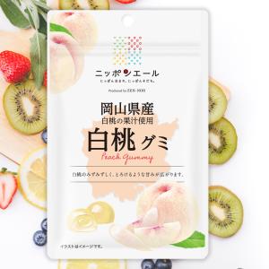 全農 ニッポンエール 静岡県産クラウンメロングミ ご当地グミ お菓子