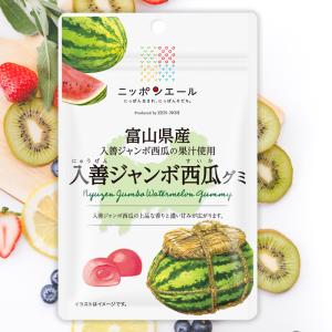 全農 ニッポンエール 長崎県産長崎恋みかんグミ ミカン 蜜柑 ご当地