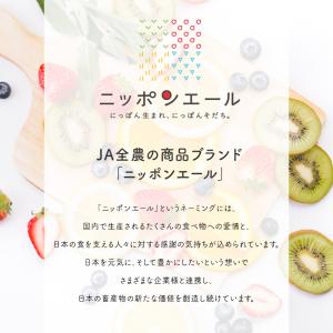 全農 ニッポンエール 青森県産世界一りんごグミ...の詳細画像1