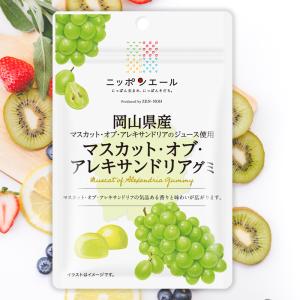 全農 ニッポンエール 岡山県産マスカット・オブ・...の商品画像