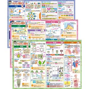 中学受験マスターどこでも理科1〜3 お風呂ポスター 3枚セット 中学受験に必要な理科まとめ B3サイズ 横51.5cm×縦36.4cm お風呂の学校