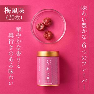 【山本山 公式】バラエティー海苔10缶詰合せ ...の詳細画像3