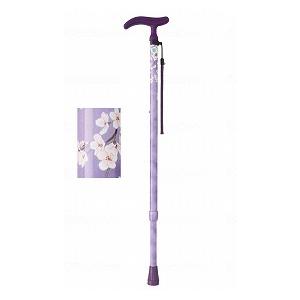 フジホーム アクティブグレース 伸縮S/WB3751 桜パープル★