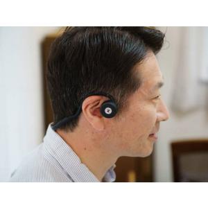 ウェザリー・ジャパン DenDen 鼓膜を介さ...の詳細画像1