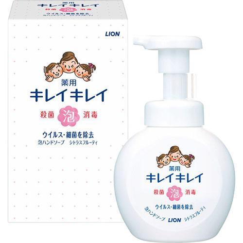 その他 ライオン キレイキレイ薬用泡ハンドソープ(２５０ｍｌ箱入)