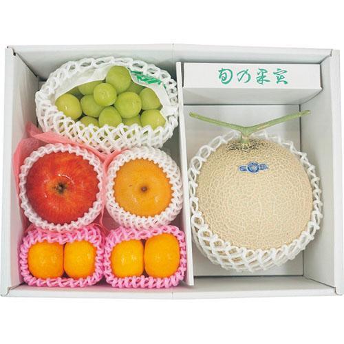 その他 旬を味わうフルーツ詰め合わせ