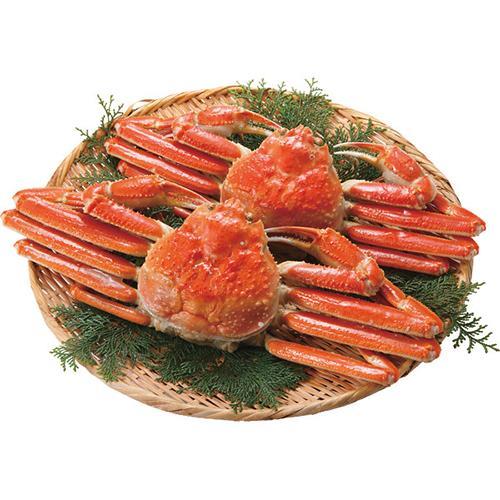 ボイルずわいがに姿２尾（計９００ｇ）[代引不可]