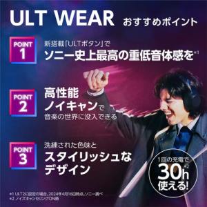 ソニー SONY WHU-LT900N H フ...の詳細画像1