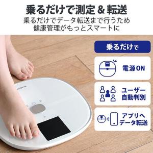 エレコム(ELECOM) HCS-WFS03W...の詳細画像2