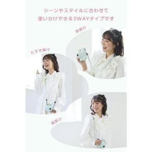 エレコム(ELECOM) IC-STSDM12...の詳細画像2