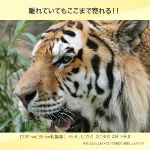 【長期5年保証付】パナソニック Panason...の詳細画像3